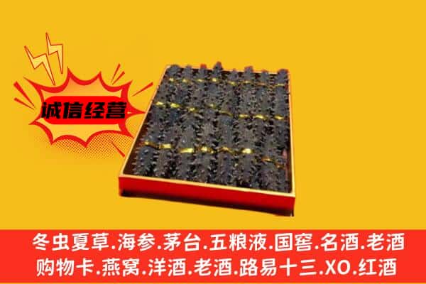 大理州南涧回收海参